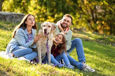 10 Organizations and Charities That Help Pay Vet .